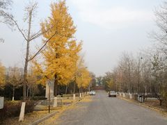 -绿堤公园