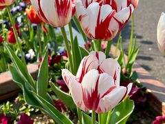 -无锡市市民中心