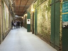 -阿尔卡特拉斯岛