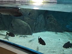 -福州罗源湾海洋世界旅游区