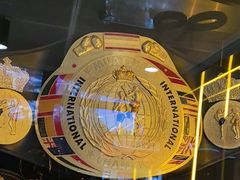 -花环泰拳·勒德斯拉泰拳馆(静安店)