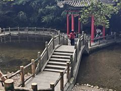 -王顺山国家森林公园