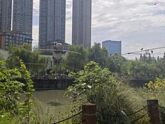 -成都市活水公园