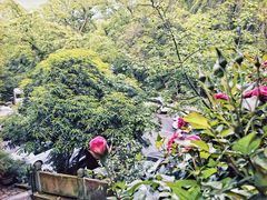 -龙井壹号·茶缘山景宴(龙井村店)