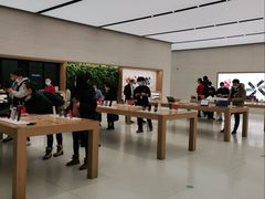 -Apple零售店(苏州店)