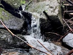 -山王坪喀斯特国家生态公园