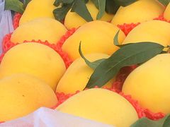 -南京众彩农副产品配送有限公司