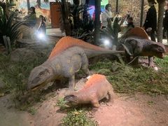 -湖南省地质博物馆