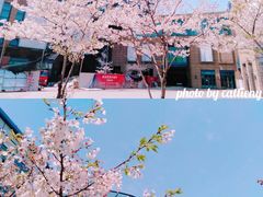 -绿地风尚天地广场