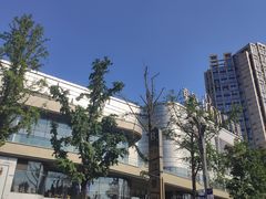 -海棠烟雨公园