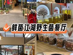 -鲜菌江湖正宗野生菌火锅