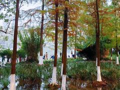 -重庆彩云湖湿地公园