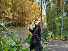 -桤木河湿地公园