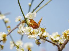 -蜀冈西峰生态公园