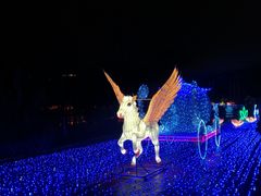 -飞凤山奥体公园