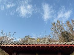 -洛阳古墓博物馆