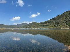 -腾冲北海湿地