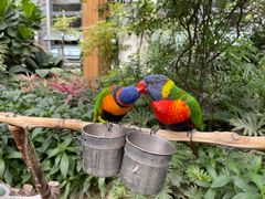 -南宫五洲植物乐园