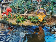 -鸿通城购物中心