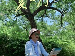 -仁寿山