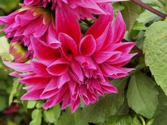 -叠溪松坪沟景区