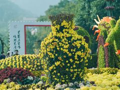 -南山植物园