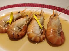 -圆苑(静安寺店)