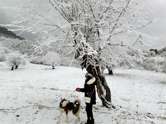 -太子岭滑雪场