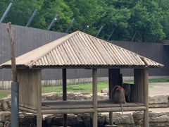 -上方山森林动物世界