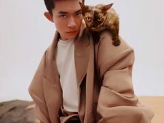 -十年猫舍·猫咪专门店(普陀店)