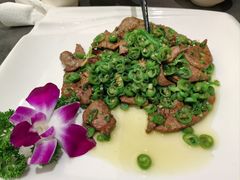 -芙蓉凰花园酒楼