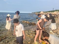 -养马岛旅游度假区
