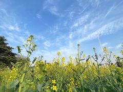 -红袖添香古风写真馆