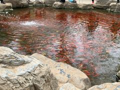 -廊坊市自然公园