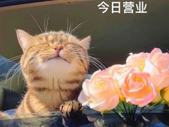 -大嫂烧烤