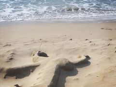 -白沙湾海滩