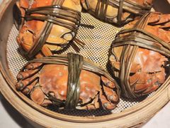 -杨氏青龙虾·羊蝎子(金盛路总店)