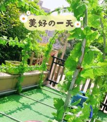 -可可天空农场(中大店)