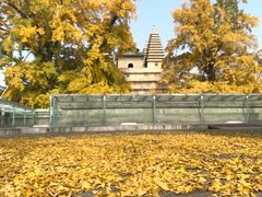 -北京石刻艺术博物馆(五塔寺)