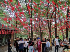 -沂蒙山旅游区云蒙景区(蒙山国家森林公园)