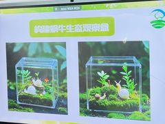 -嘉北郊野公园