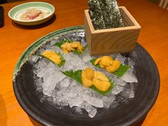 -月龍吟(朝龙汇店)