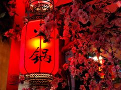 -桃花沅火锅(长嘉汇江景店)