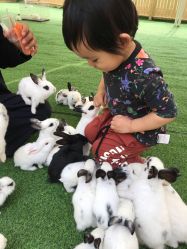 点击看大图 -萌宠亲子动物乐园(槐房万达店)