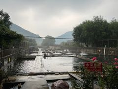 -天源渔港农庄