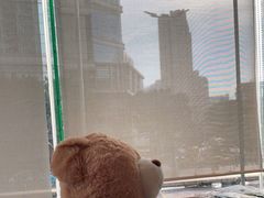 -麦当劳(百利广场店)