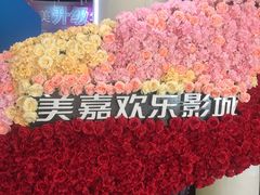 -美嘉欢乐影城(万象城店)