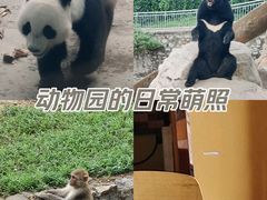 -石家庄市动物园