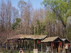 -溱湖国家湿地公园