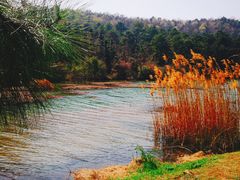 -南京市无想山景区
